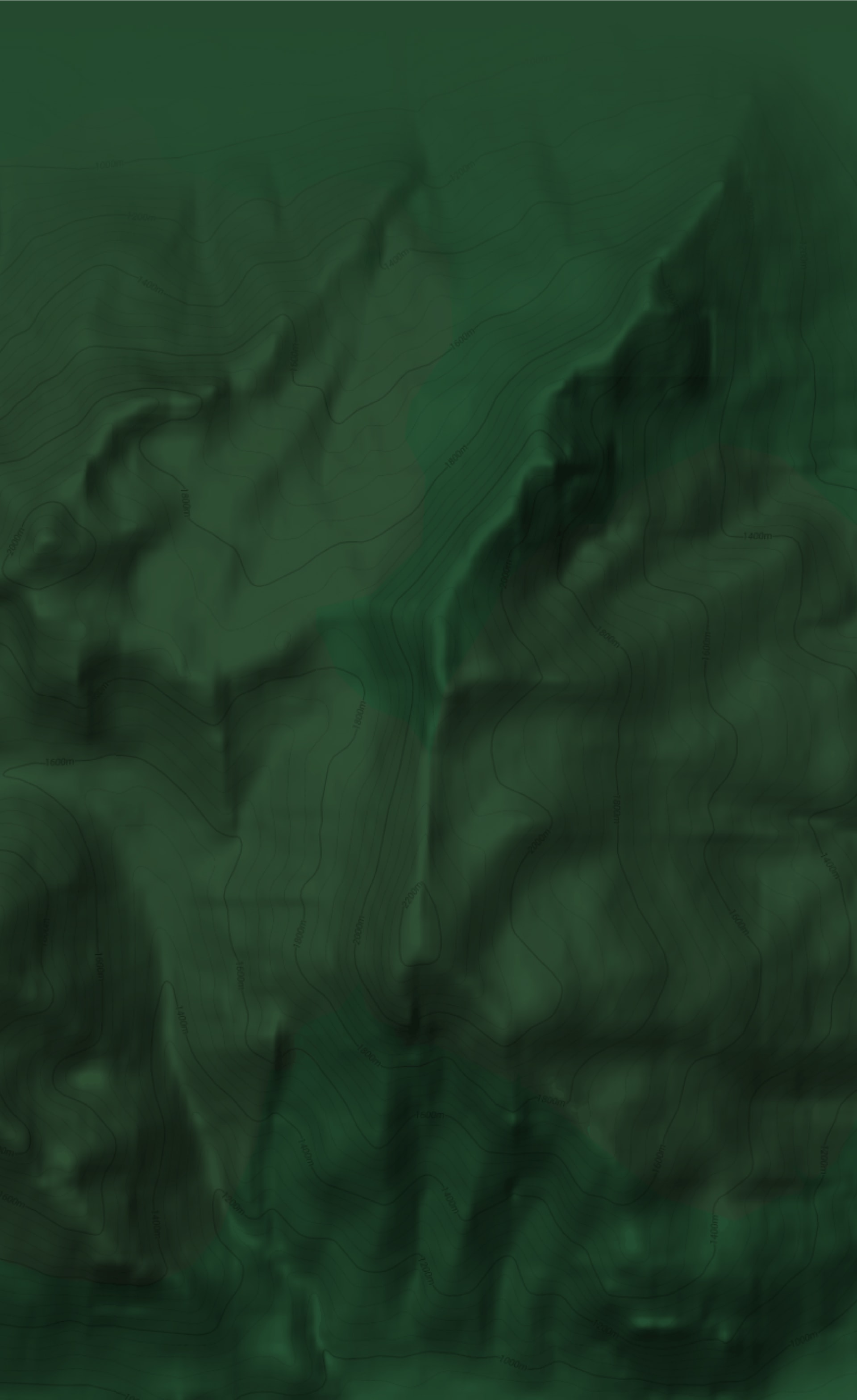 Fondo próximas salidas